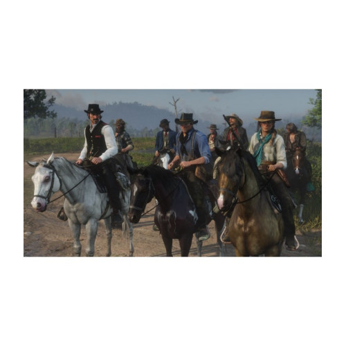 Red Dead Redemption 2. PS4 Kasutatud